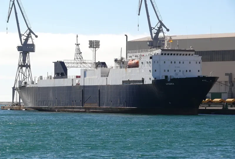 HOM Ro-Ro IMO 7704629 photo 8