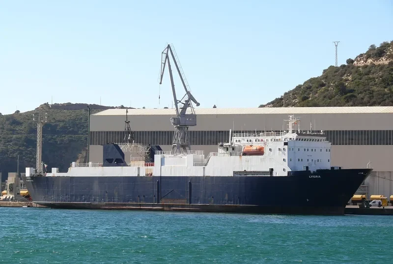 HOM Ro-Ro IMO 7704629 photo 9