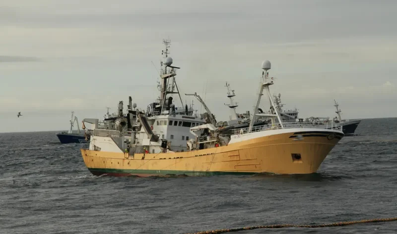 OLAFSSON General Cargo IMO 7704708 photo 7