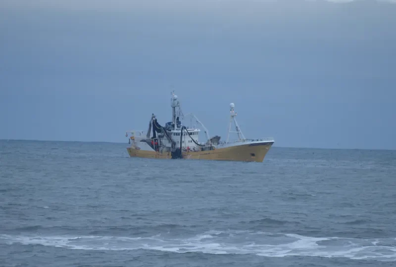 OLAFSSON General Cargo IMO 7704708 photo 8