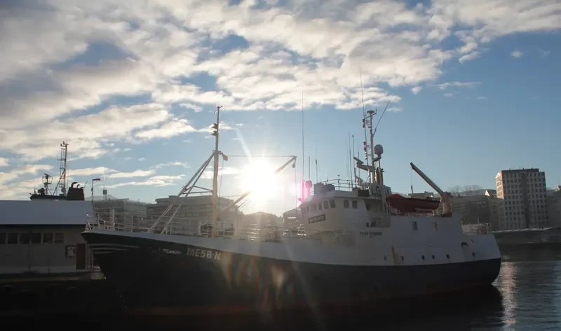 POLAR ATLANTIC General Cargo IMO 7704734 photo 6