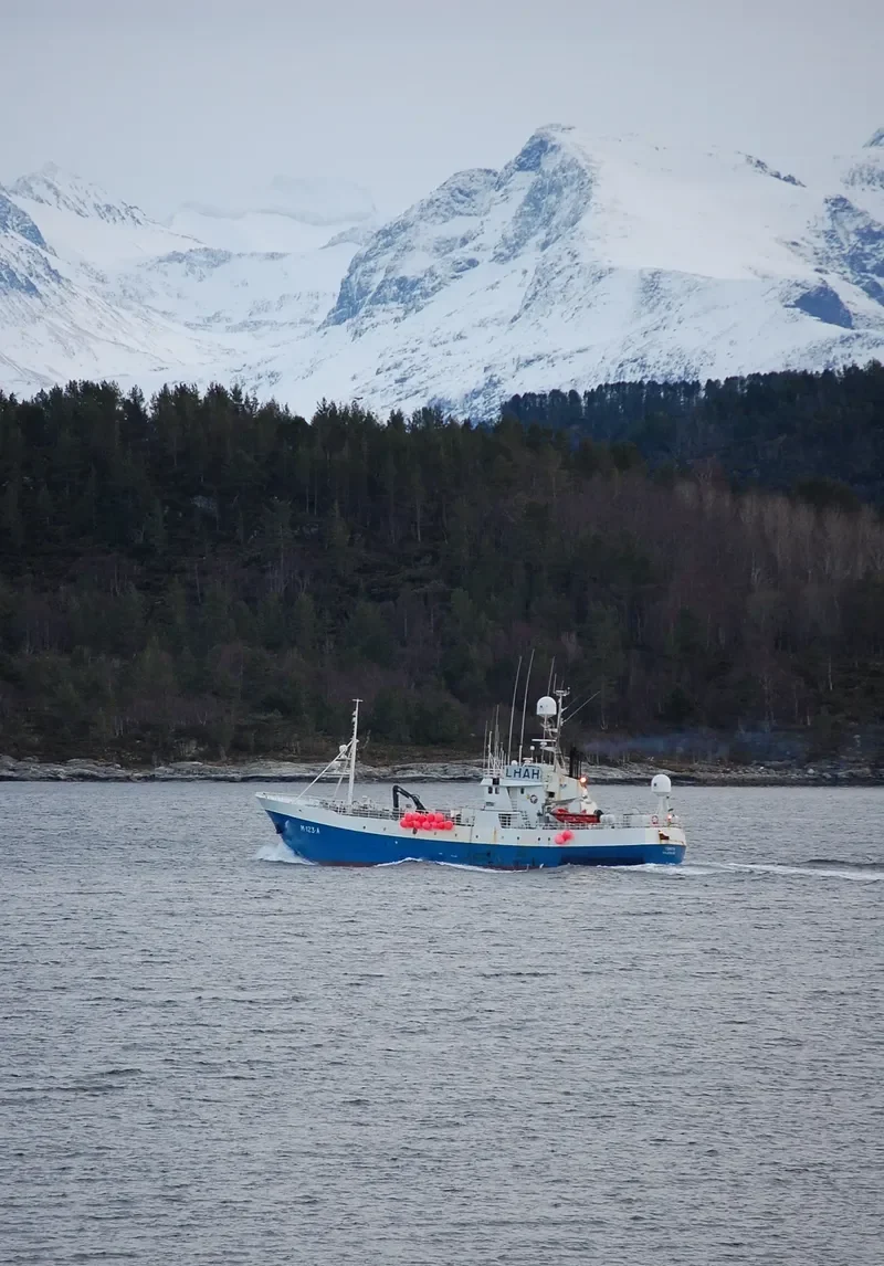 TORITA General Cargo IMO 7704746 photo 4
