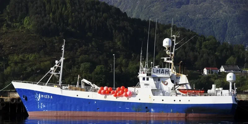 TORITA General Cargo IMO 7704746 photo 5