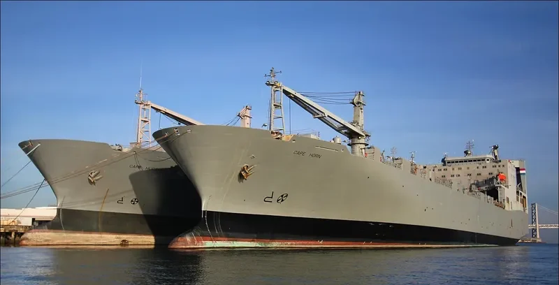 CAPE HORN General Cargo IMO 7704942 photo 2