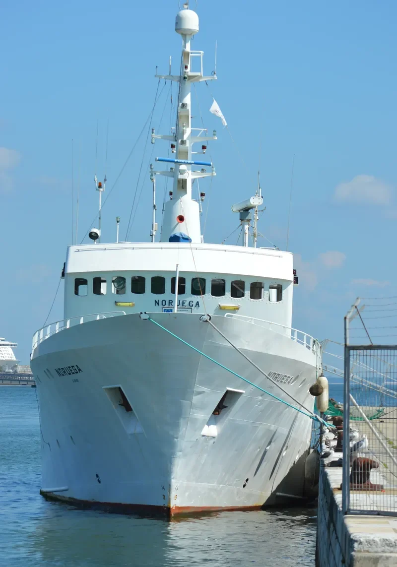 NORUEGA General Cargo IMO 7704992 photo 4