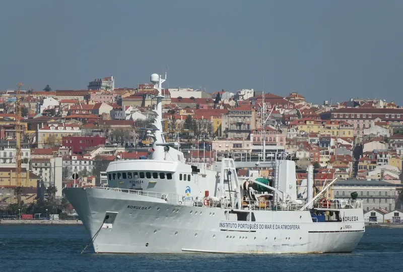 NORUEGA General Cargo IMO 7704992 photo 7