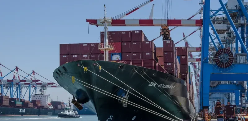 MSC FADO Container Ship IMO 7705398