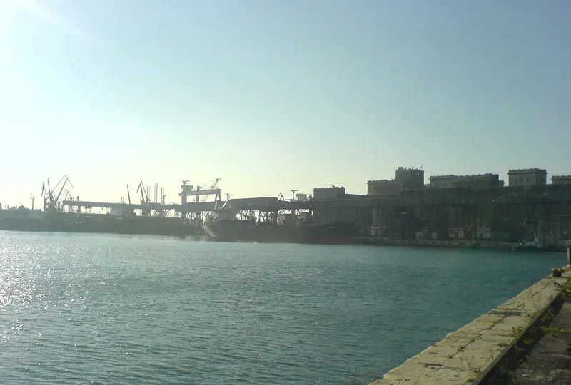 GREEN LINE Bulk Carrier IMO 7705506