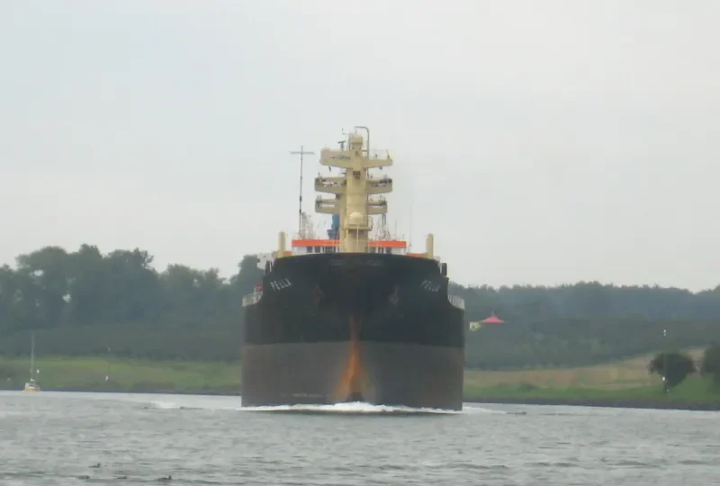 PELLA General Cargo IMO 7705520 photo 7