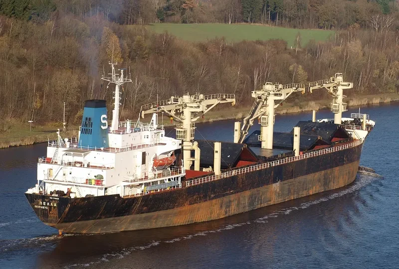 PELLA General Cargo IMO 7705520 photo 9