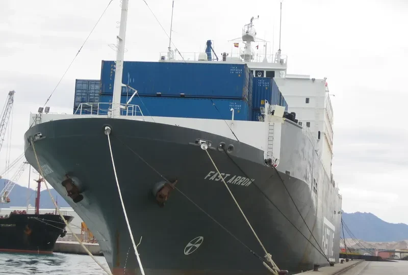 JABAL ALI 1 Ro-Ro IMO 7705726 photo 9