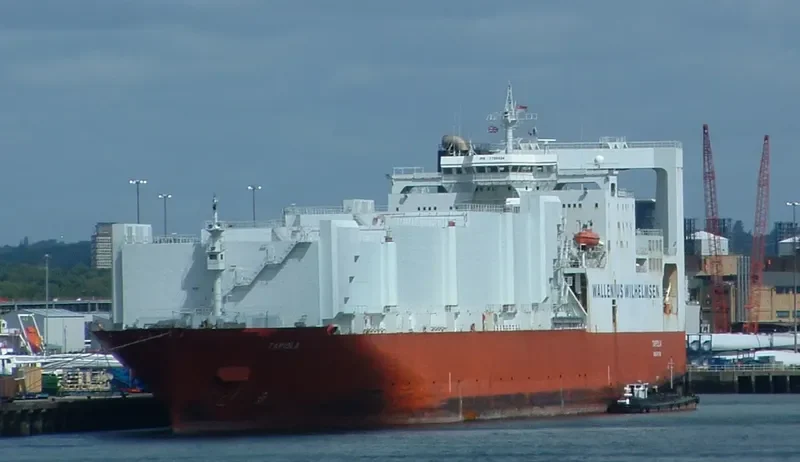TAPIOLA General Cargo IMO 7705934 photo 2