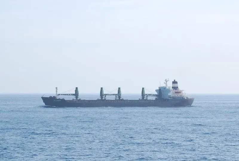 PRINCESS YASMINE Bulk Carrier IMO 7706328