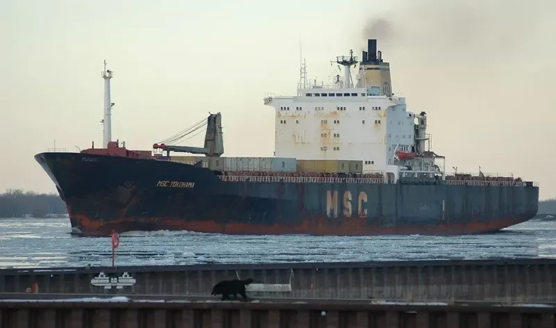 MSC YOKOHAMA Container Ship IMO 7706940 photo 2
