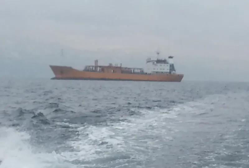 QUEEN General Cargo IMO 7707724
