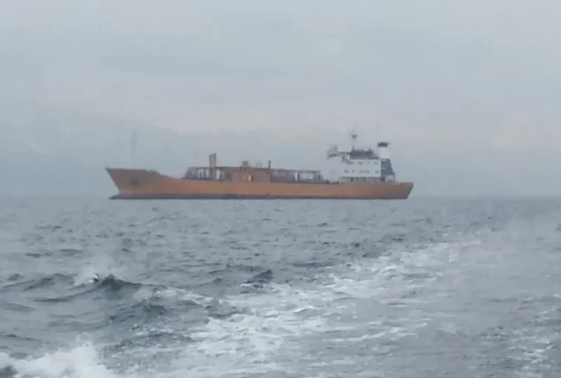 QUEEN General Cargo IMO 7707724 photo 2