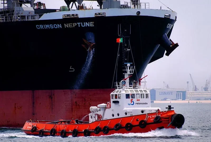 PENEDA General Cargo IMO 7707815 photo 6