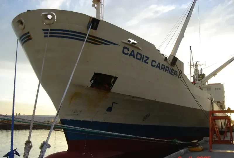 CADIZ CARRIER General Cargo IMO 7707891 photo 4