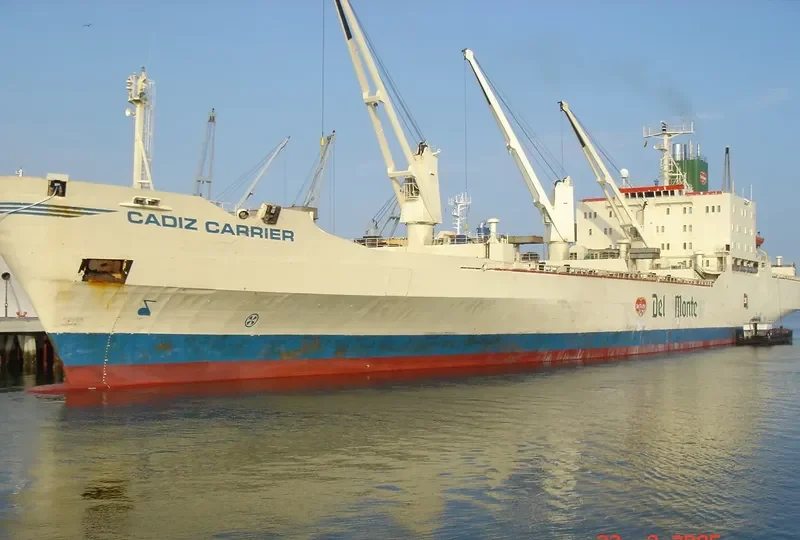 CADIZ CARRIER General Cargo IMO 7707891 photo 5