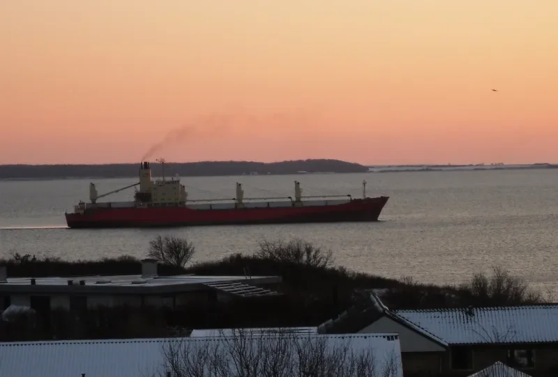 BALTIC CARRIER General Cargo IMO 7707918 photo 7