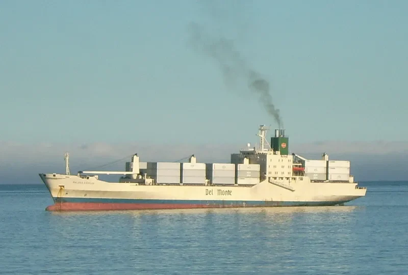 MALAGA CARRIER General Cargo IMO 7707920 photo 2