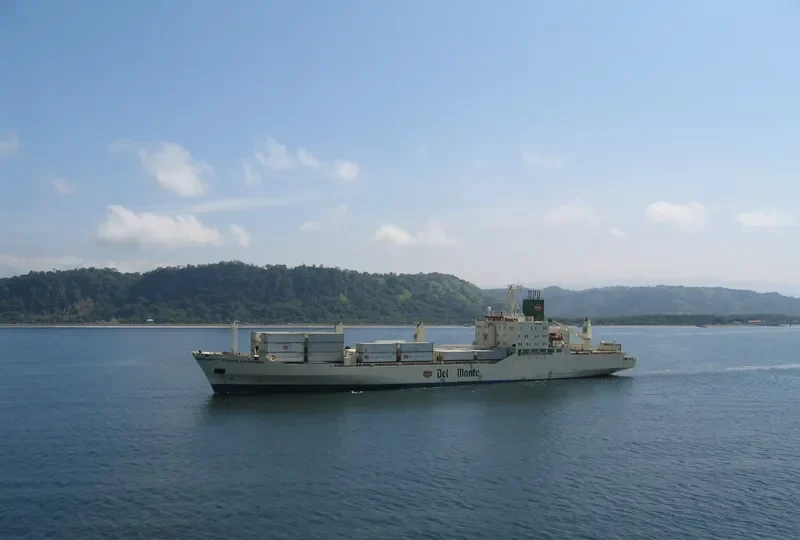 MALAGA CARRIER General Cargo IMO 7707920 photo 3