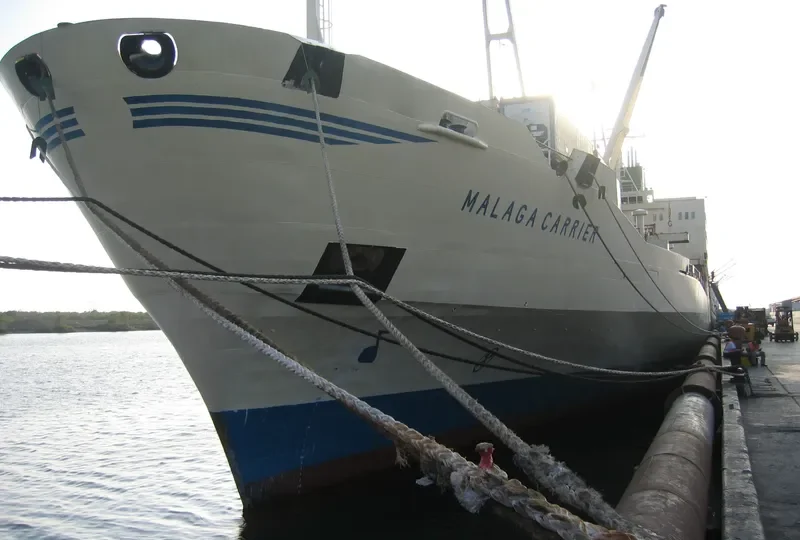 MALAGA CARRIER General Cargo IMO 7707920 photo 4