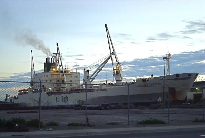 MALAGA CARRIER General Cargo IMO 7707920 photo 5