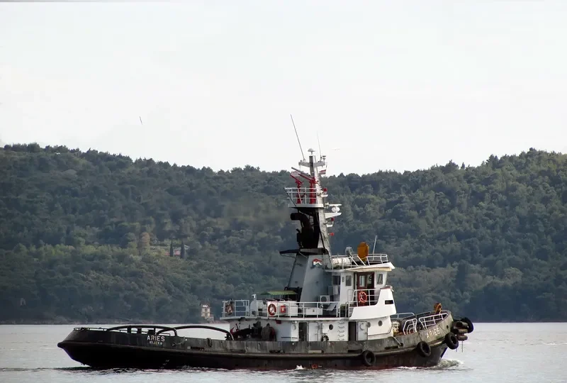 ARIES Offshore Vessel IMO 7708170 photo 9
