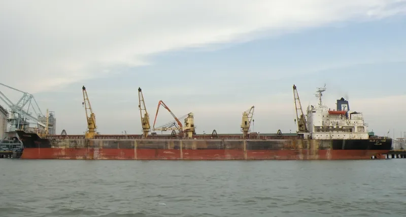 NEDROMA Bulk Carrier IMO 7708182 photo 3