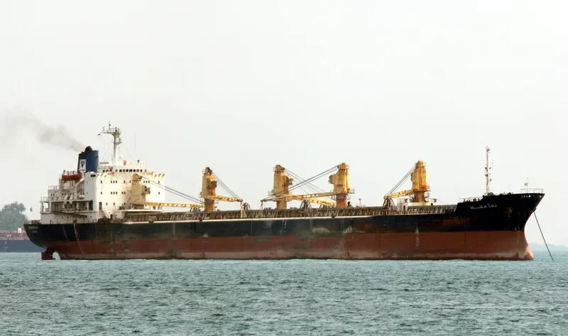CASH Bulk Carrier IMO 7708194 photo 8