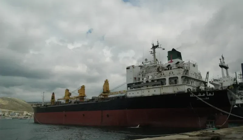CASH Bulk Carrier IMO 7708194 photo 10