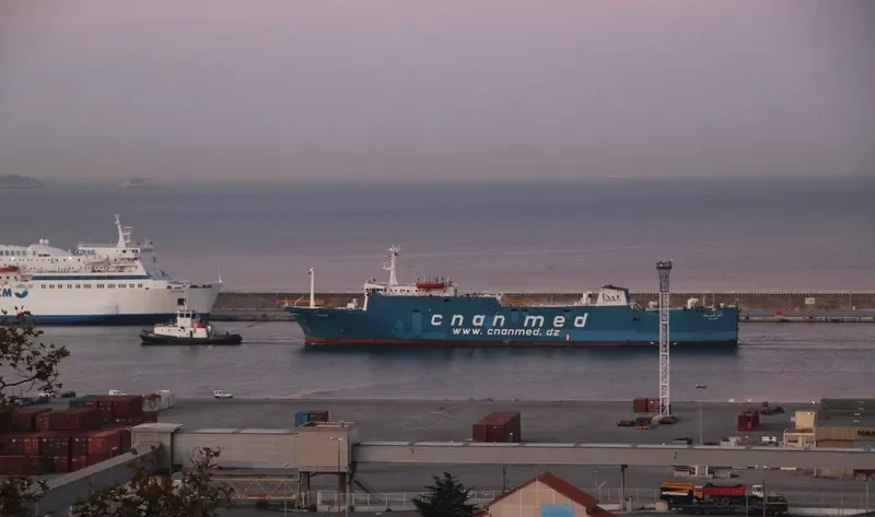 TELEGHMA Ro-Ro IMO 7708297 photo 9