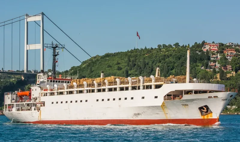 TAIBA General Cargo IMO 7708807 photo 5