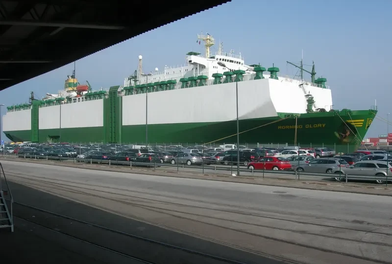 MORNING GLORY General Cargo IMO 7708821 photo 7