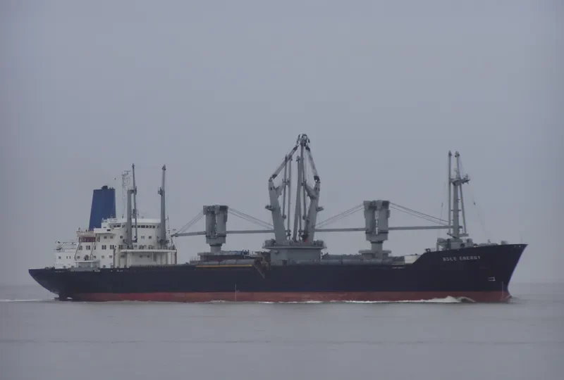 BSLE ENERGY General Cargo IMO 7708895 photo 2