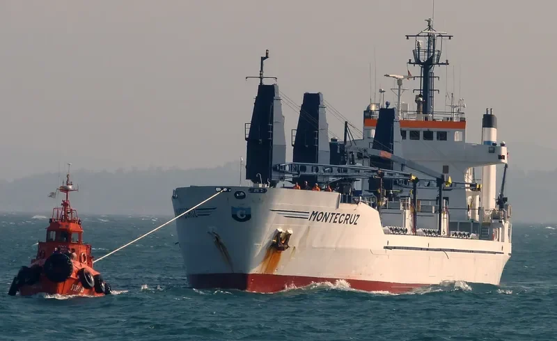 MONTECRUZ General Cargo IMO 7710276 photo 6