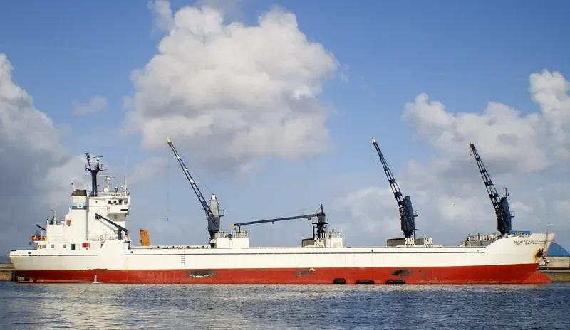 MONTECRUZ General Cargo IMO 7710276 photo 7