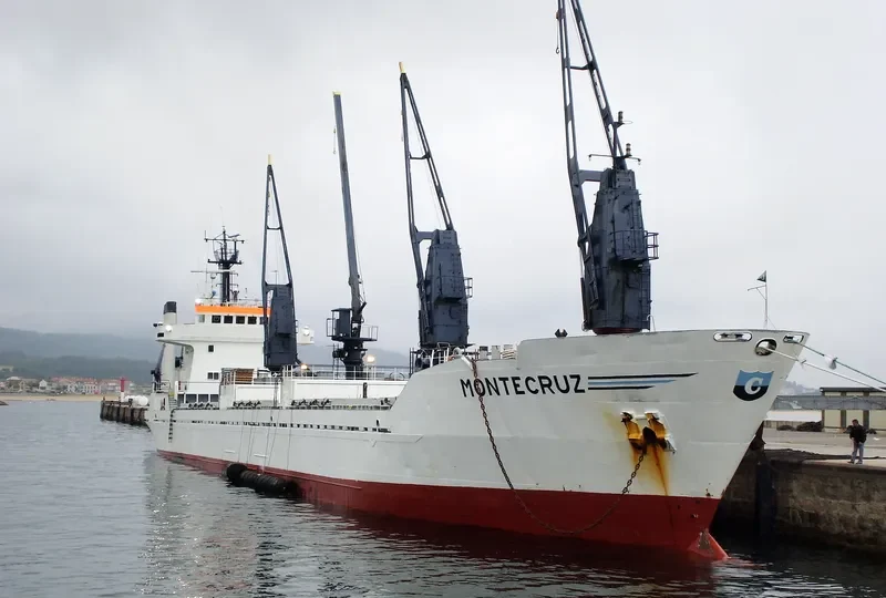 MONTECRUZ General Cargo IMO 7710276 photo 8