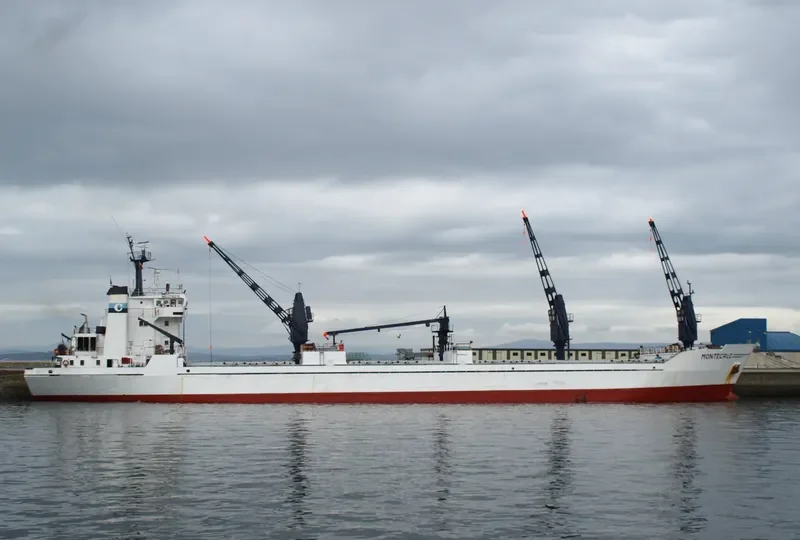 MONTECRUZ General Cargo IMO 7710276 photo 10