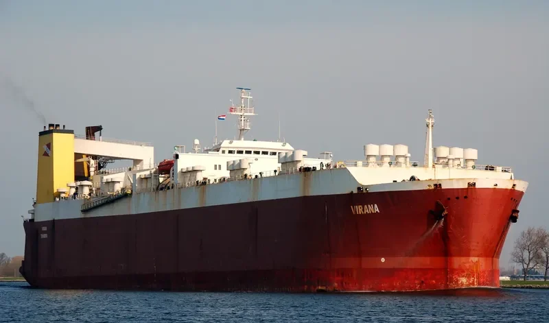VIR General Cargo IMO 7710408 photo 5