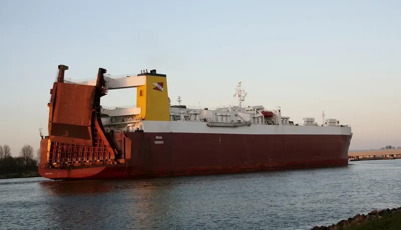 VIR General Cargo IMO 7710408 photo 9