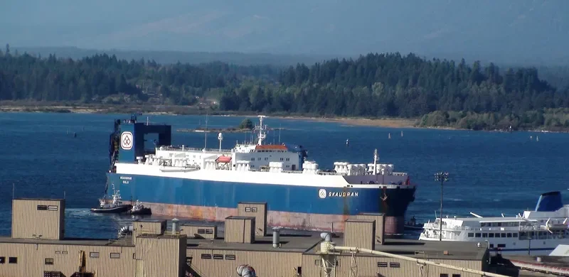 SKAUGRAN General Cargo IMO 7710410 photo 6