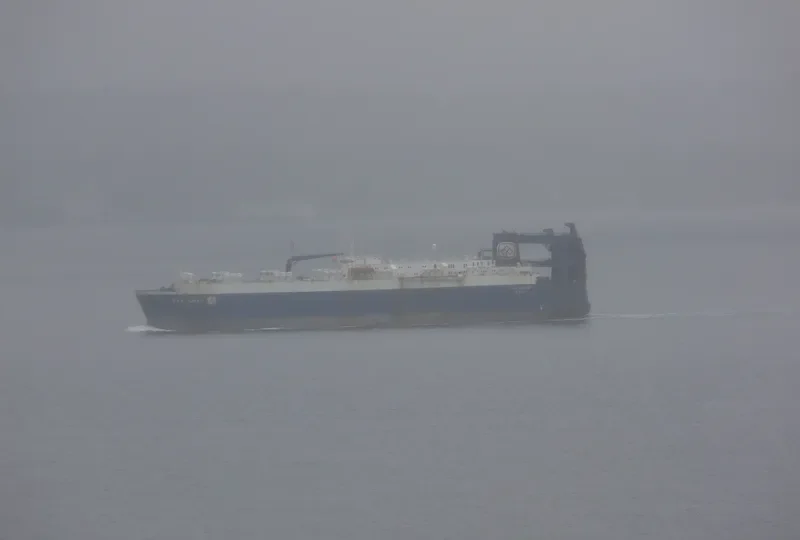 SKAUGRAN General Cargo IMO 7710410 photo 7