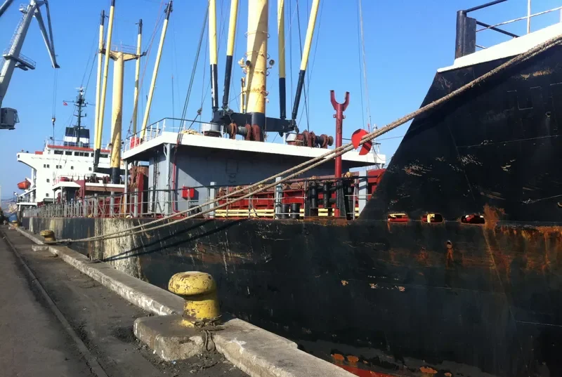 AFAMIA General Cargo IMO 7710642