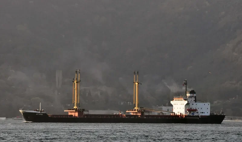 AFAMIA General Cargo IMO 7710642 photo 2