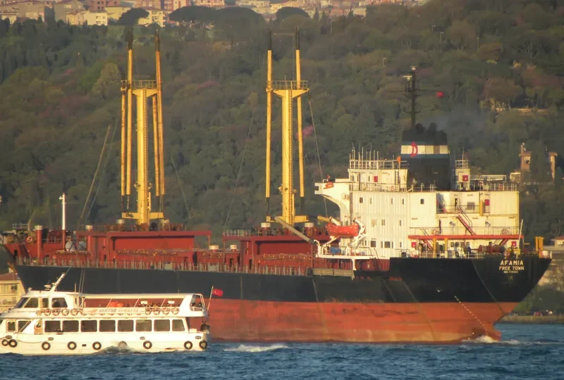 AFAMIA General Cargo IMO 7710642 photo 3
