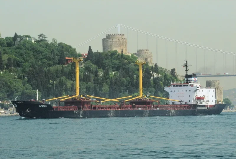AFAMIA General Cargo IMO 7710642 photo 4