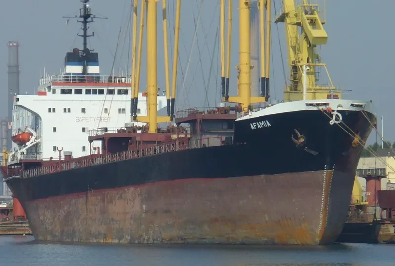 AFAMIA General Cargo IMO 7710642 photo 5