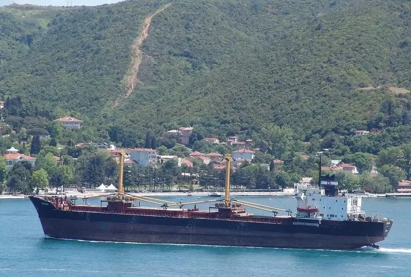AFAMIA General Cargo IMO 7710642 photo 6